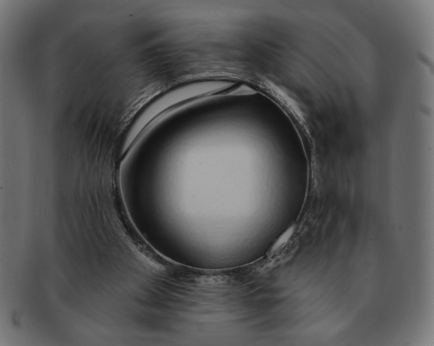 X0000091210105200709061447