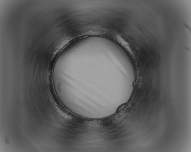 X0000091210106200709061447