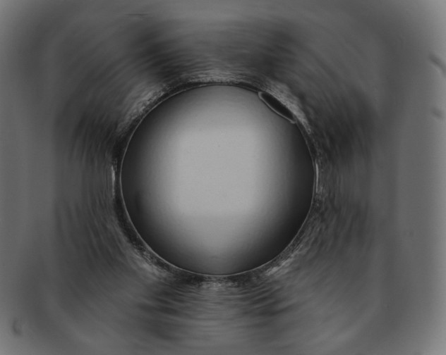 X0000091210109200709061447