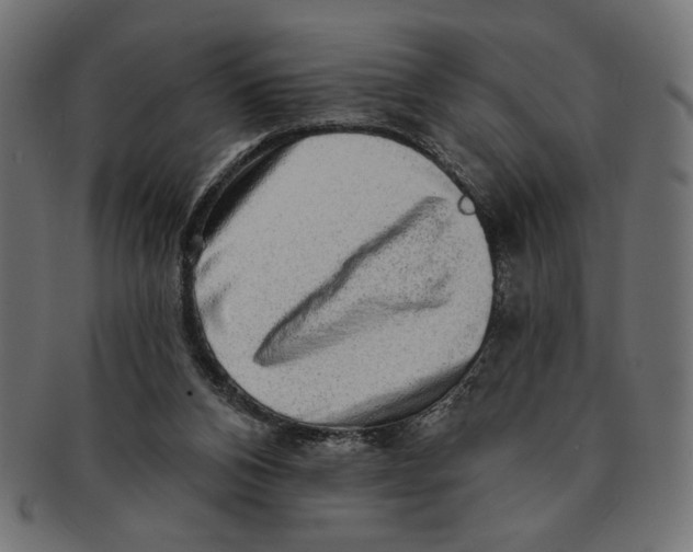 X0000091210112200709061447