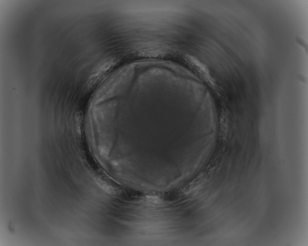 X0000091210114200709061447