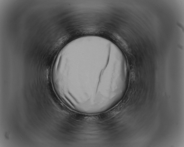 X0000091210115200709061447