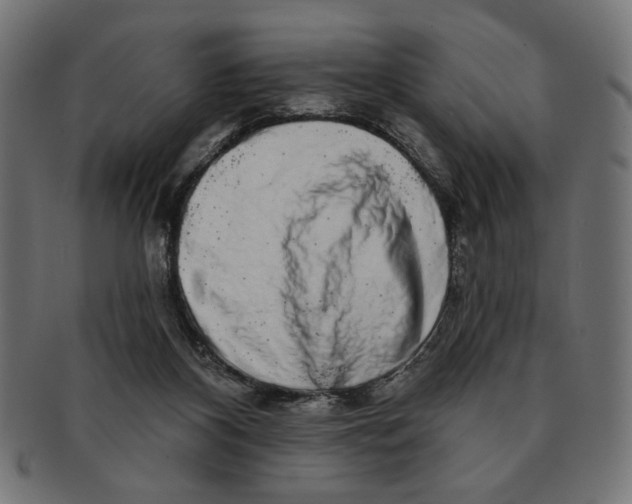 X0000091210116200709061447