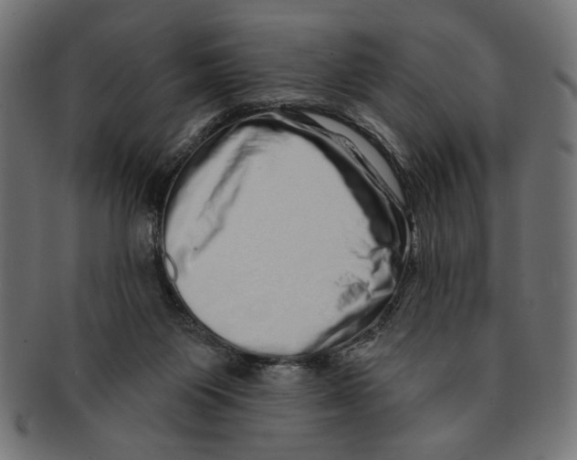 X0000091210119200709061447