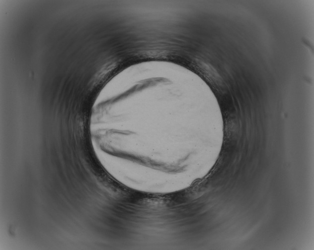 X0000091210120200709061447