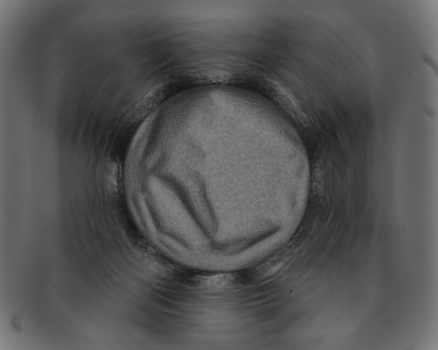 X0000091210122200709061447