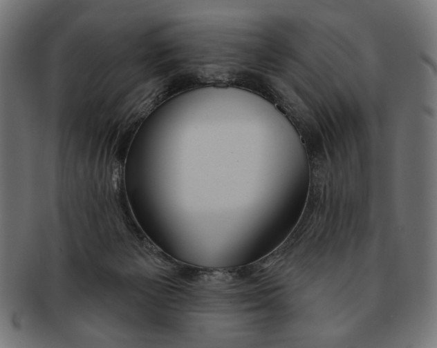 X0000091210125200709061447