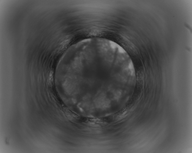 X0000091210127200709061447