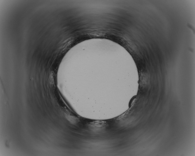 X0000091210128200709061447