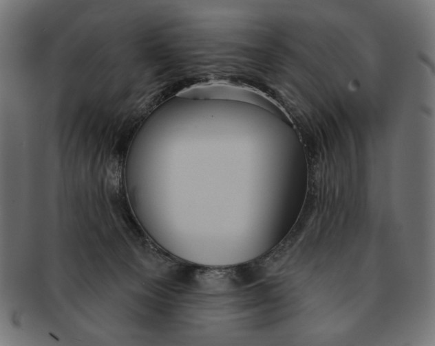 X0000091210129200709061447