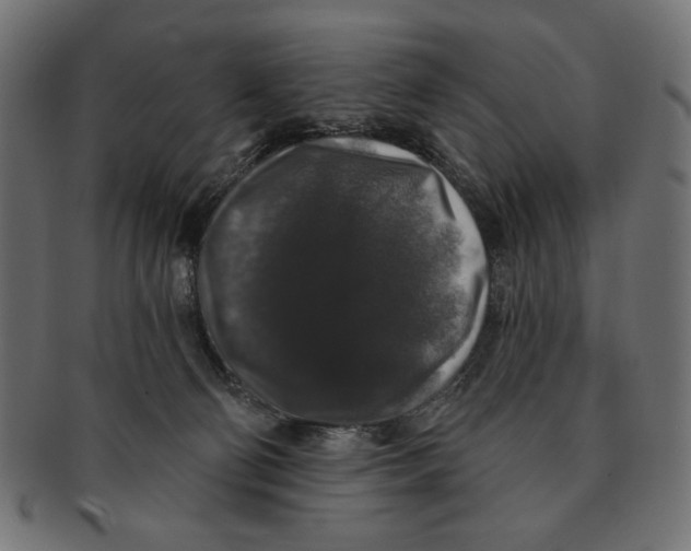 X0000091210130200709061447