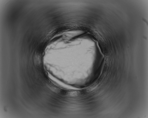 X0000091210131200709061447