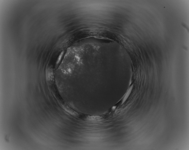 X0000091210137200709061447