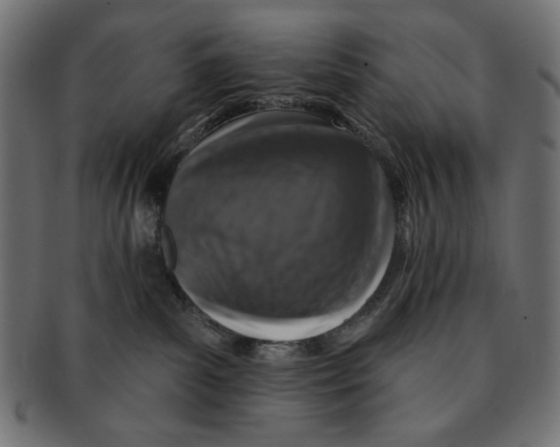 X0000091210139200709061447