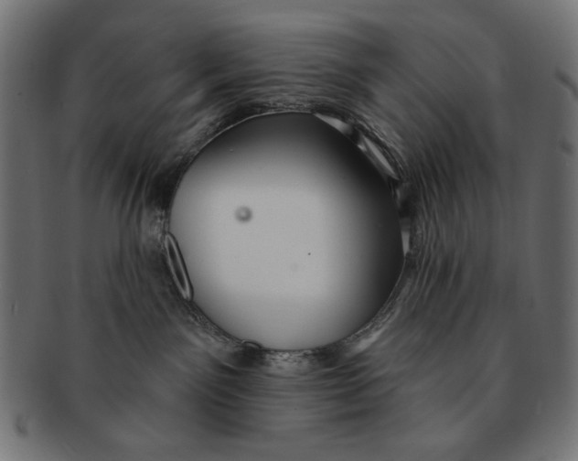 X0000091210141200709061447