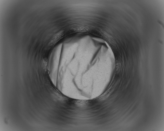 X0000091210142200709061447