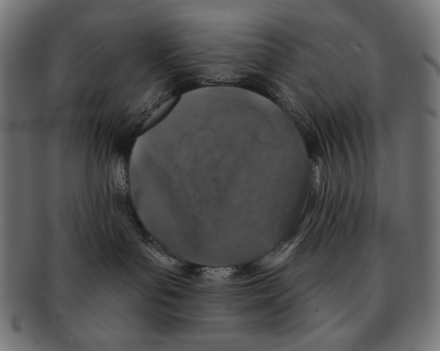 X0000091210143200709061447