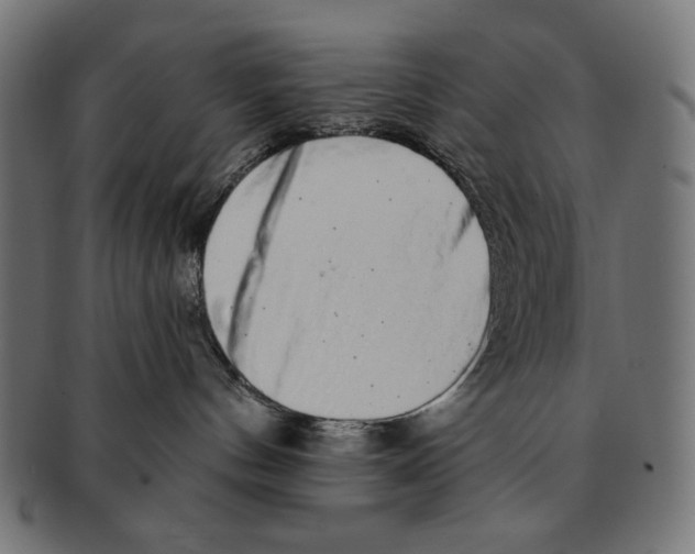 X0000091210144200709061447