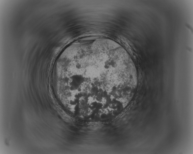 X0000091210145200709061446