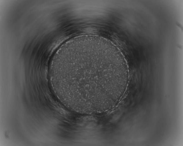 X0000091210146200709061446