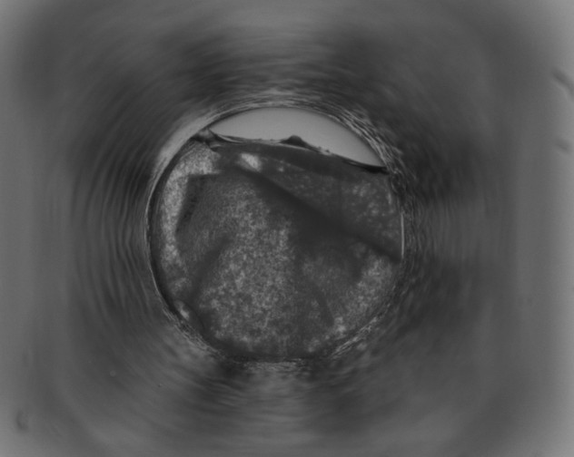 X0000091210147200709061446