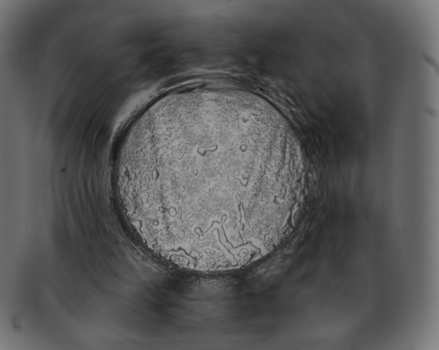 X0000091210149200709061446