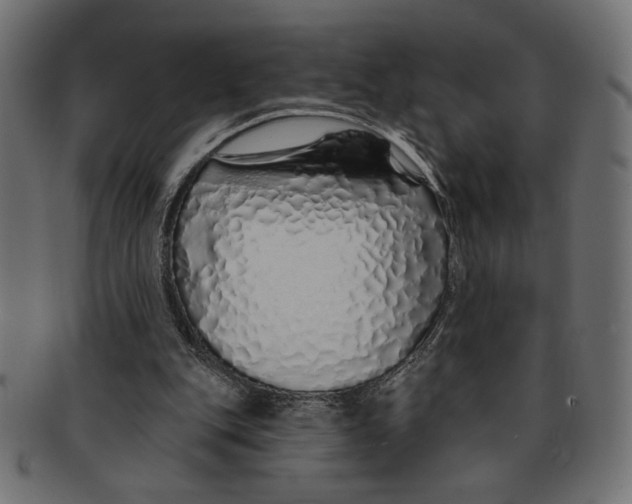 X0000091210151200709061446