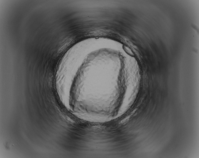 X0000091210153200709061446