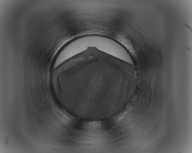 X0000091210156200709061446