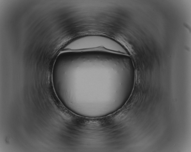 X0000091210157200709061446