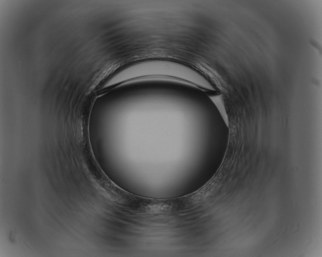 X0000091210158200709061446