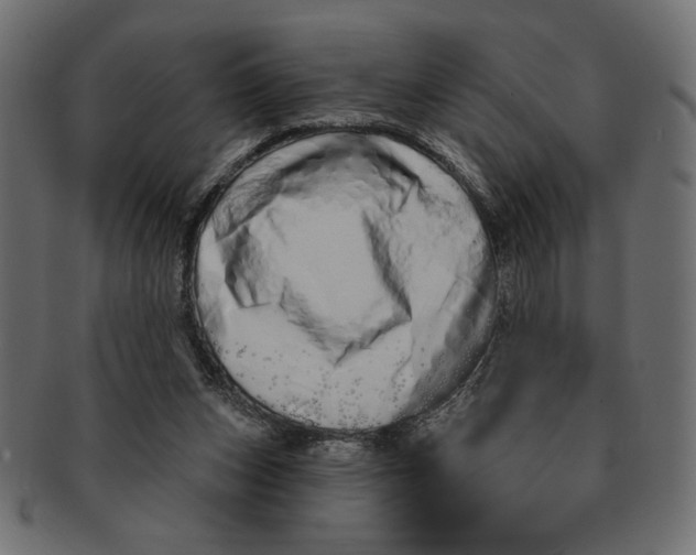 X0000091210159200709061446