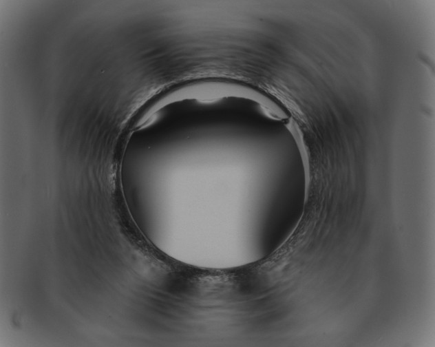 X0000091210160200709061446