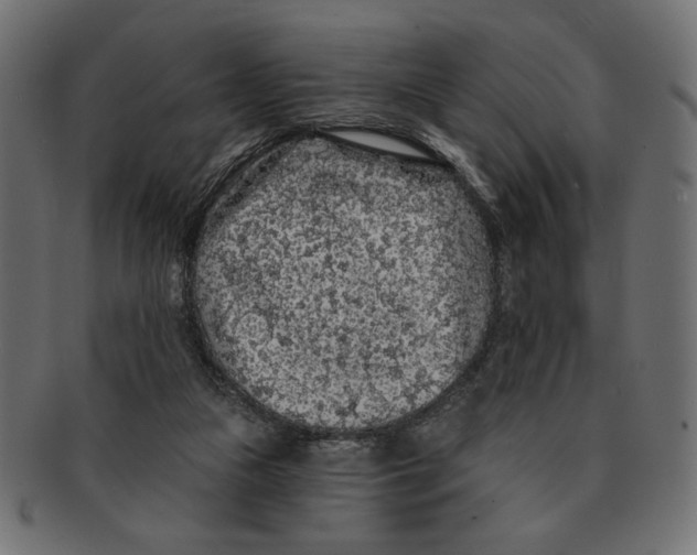 X0000091210161200709061446