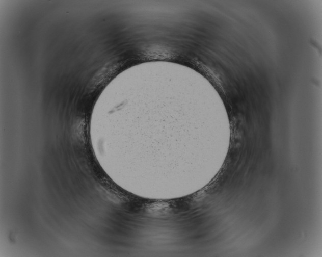 X0000091210162200709061446