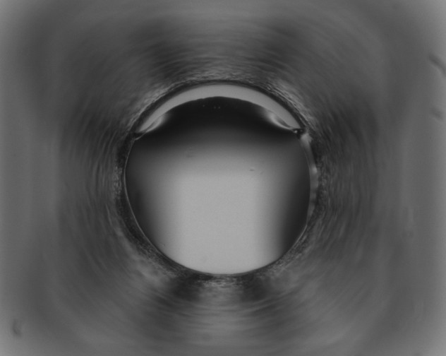 X0000091210164200709061446