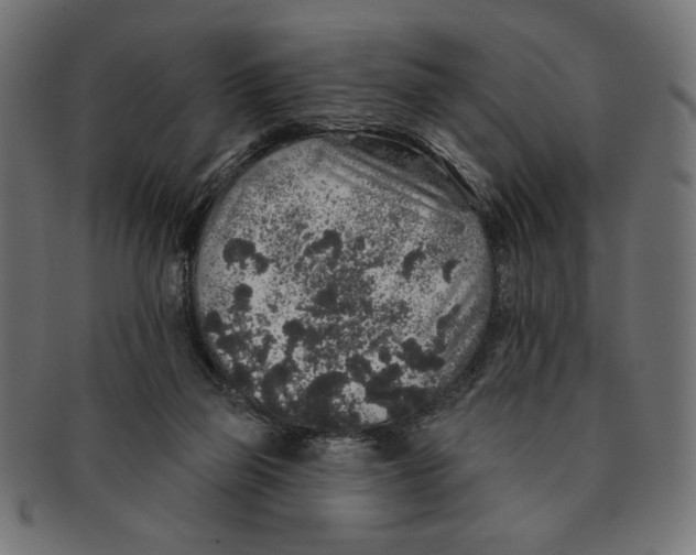 X0000091210165200709061446