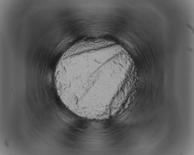 X0000091210166200709061446