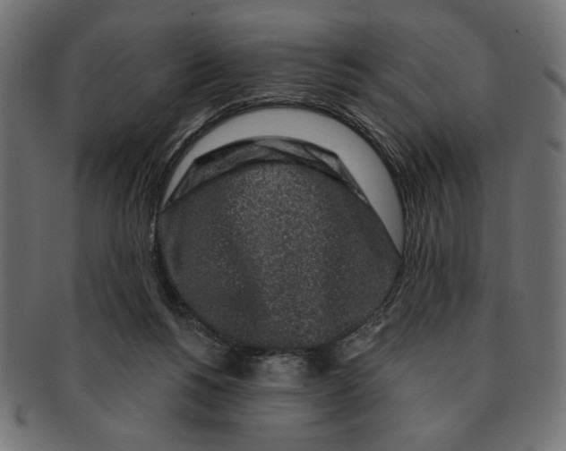 X0000091210168200709061446