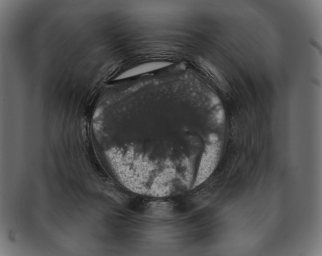 X0000091210169200709061446