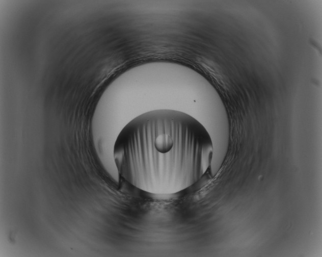 X0000091210172200709061446