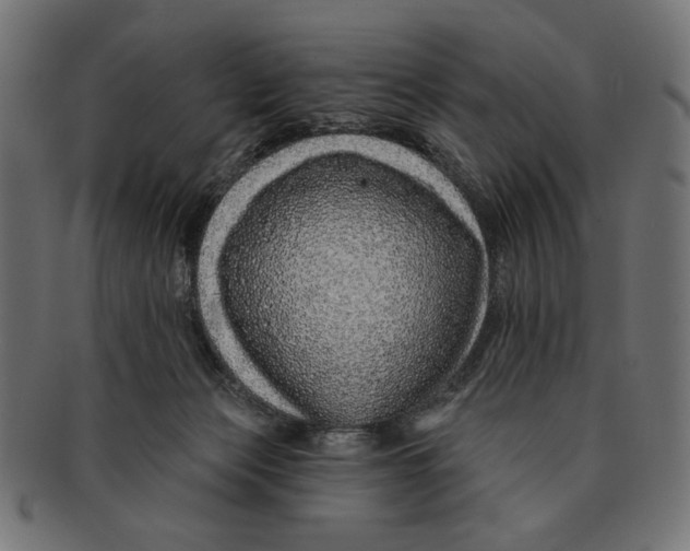 X0000091210173200709061446