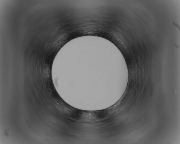 X0000091210174200709061446