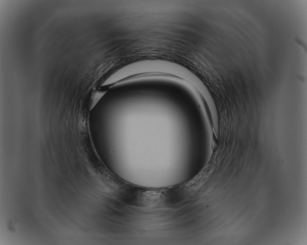 X0000091210176200709061446