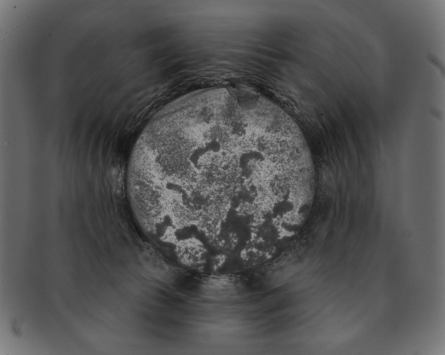 X0000091210177200709061446