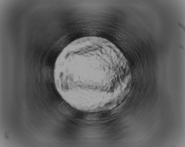 X0000091210178200709061446