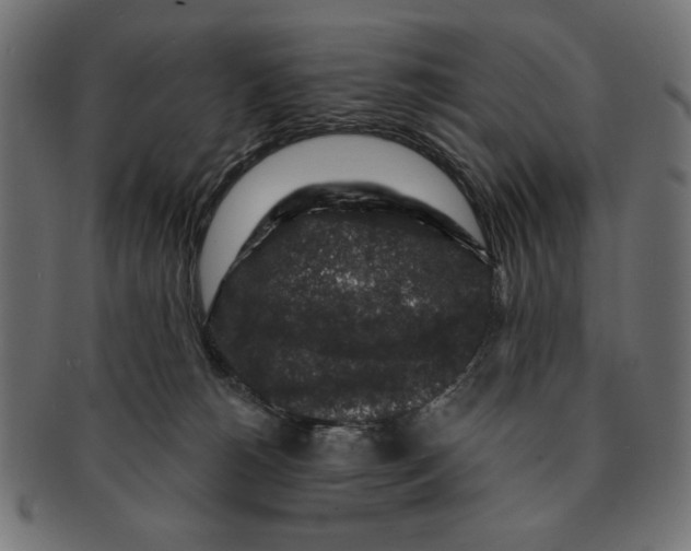 X0000091210180200709061446