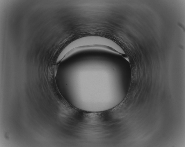 X0000091210184200709061446