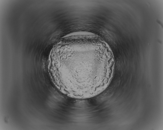 X0000091210185200709061446