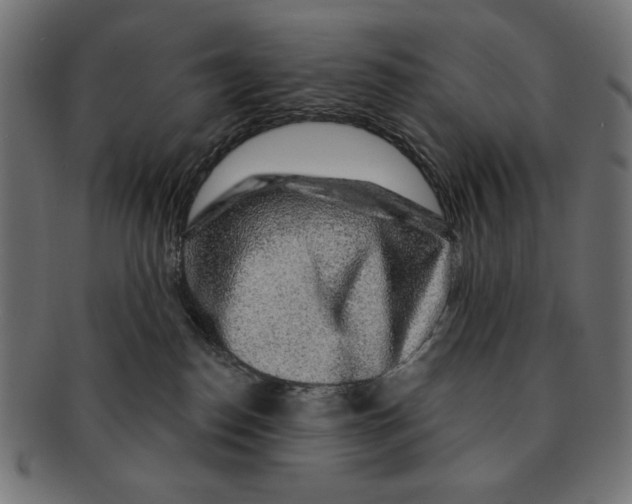 X0000091210186200709061446